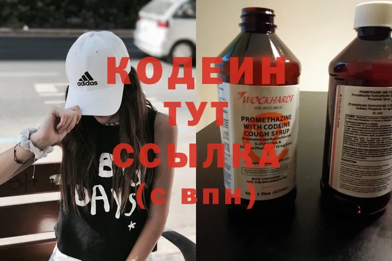 Кодеиновый сироп Lean Purple Drank  Олонец 