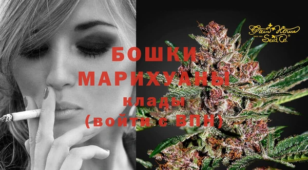 ПСИЛОЦИБИНОВЫЕ ГРИБЫ Осинники