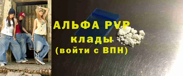 ПСИЛОЦИБИНОВЫЕ ГРИБЫ Осинники