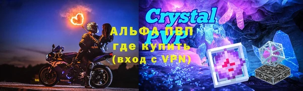 ПСИЛОЦИБИНОВЫЕ ГРИБЫ Осинники