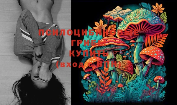 ПСИЛОЦИБИНОВЫЕ ГРИБЫ Осинники