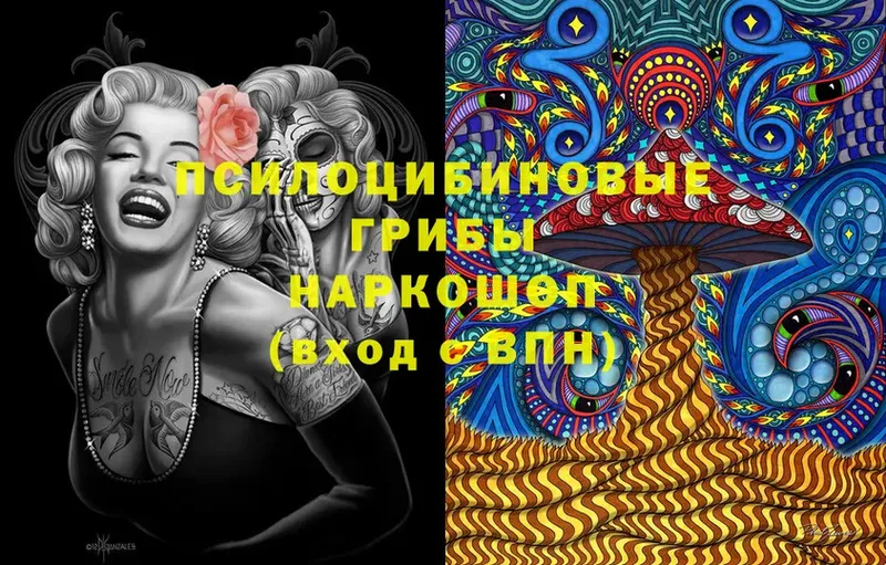 Галлюциногенные грибы Psilocybine cubensis  Олонец 